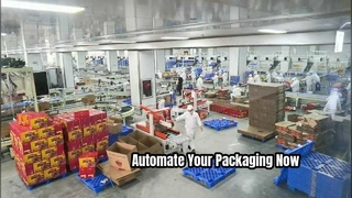 Automatic Packaging line Made In China
