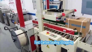 Carton Sealer & Strapping Machine Automation