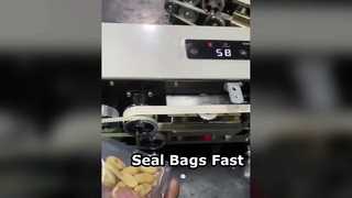 FR580 Sealing Machine